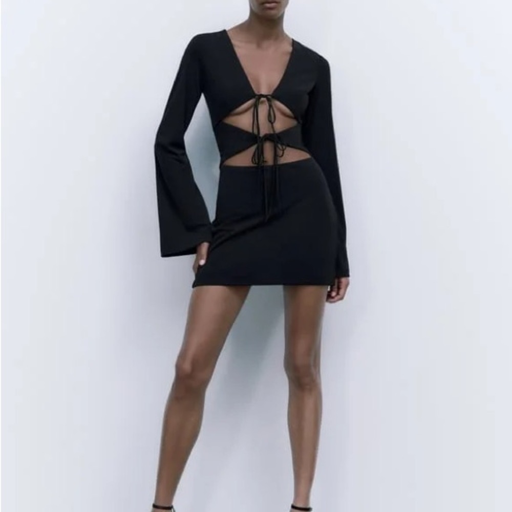 Zara Black Cutout Tie-Front Mini Dress